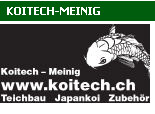 www.koitech.ch: Koitech-Meinig, 8363 Bichelsee.
