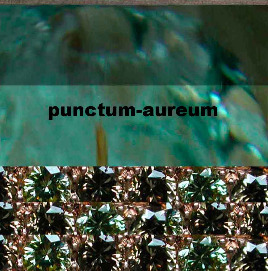 www.punctum-aureum.ch  Punctum Aureum, 3011 Bern.