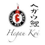 Faszination Koi, Hegau Koi Ihr Online Koi Shop / Koizubehoer von namhaften Herstellern