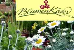 www.blumen-kaeser.ch  Blumen Kser, 8708Mnnedorf.