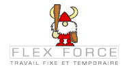 www.flexforce.ch, Flex Force  1217 Meyrin 