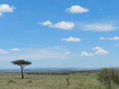 private Jeep Safaris in Kenia in die schoensten Nationalparks Kenia