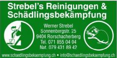 Kammerjger Strebel ,Professionelle Schdlingsbekmpfung