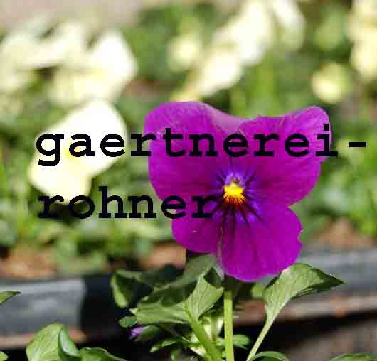 www.gaertnerei-rohner.ch  Hans Rohner, 9445
Rebstein.