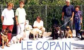 Suisse d'ducation de chiens d'assistance
pourpersonnes handicapes le Copain ,   3977
Granges VS