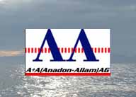 A A (Anadon-Allam) AG / EDV-Dienstleistung
EDV-Beratung Archiv Analyse . . . . .