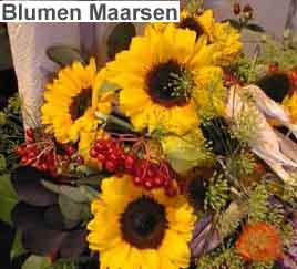 www.maarsen.ch  Blumen Maarsen, 3014 Bern.