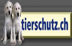 www.tierschutz.ch Tierschutz Schweiz: tierschutzgesetz pferde tierschutz hunde tierqulerei 
tiervermittlung tierheim peta tierhilfe Tierschtzer Tierschutzvereine Tierhalter Impfungen. Mikro