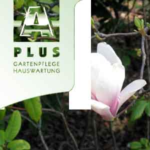 www.aplus.ch  A Plus Reinigungen GmbH, 8640
Kempraten.