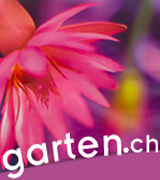www.Garten.ch Bietet eine umfassende Suchmaschine ber die Gartenszene Schweiz. Sie umfasst 
Biologie, Botanik, Pflanzensites, Gartencentren, Floristen und Gartenbaumaschinen.