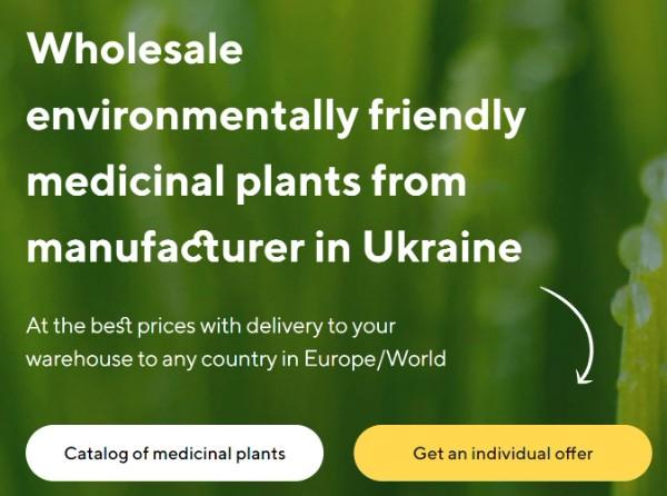 Verkauf von Heilpflanzen in groen Mengen vom Hersteller zu den besten Preisen 