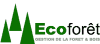 www.ecoforet.ch  :  Triage forestier                                               1997 Haute-Nendaz