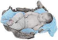 Babyfotograf Neugeborenenfotos Fotoshooting 