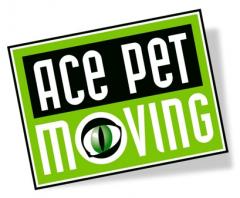 ACE Pet Moving, Tiertransporte, Zurich Geneva Basel, Pet Move, Animal Transport, Pet Relocation, 
Travel with dogs, cats &amp; exotics