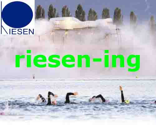 www.riesen-ing.ch  Riesen Anton, 3011 Bern.