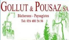 www.gollut-pousaz.ch  :  Gollut &amp; Pousaz SA                                               1882 
Gryon