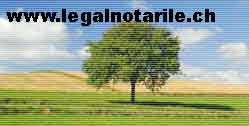 www.legalnotarile.ch,                 Adami
Francesco .      6600 Locarno           
