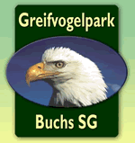 www.greifvogelpark.ch: Lucien Nigg Eulen &amp; Greifvogelpark     9470 Buchs SG