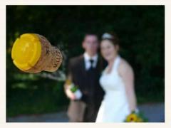 Suchen Sie einen g�nstigen, aber guten Hochzeitsfotograf?