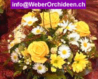 www.weberorchideen.ch  Weber Orchideen GmbH, 4107
Ettingen.