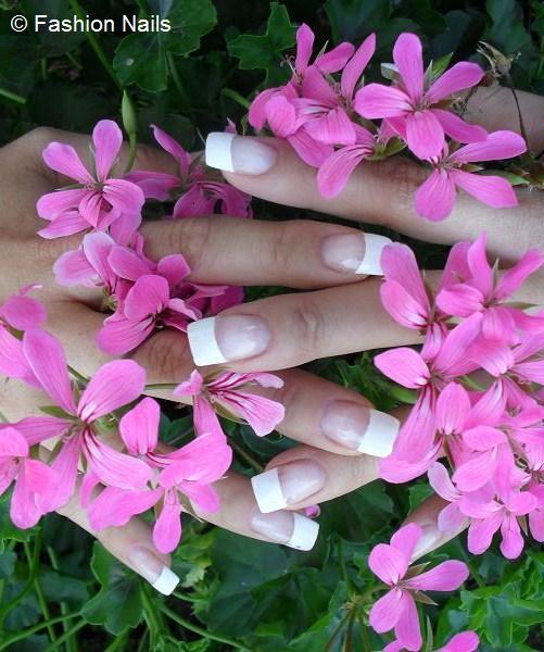 Nagelstudio Fashion Nails in Zofingen/Oftringen Nailkosmetik Nail