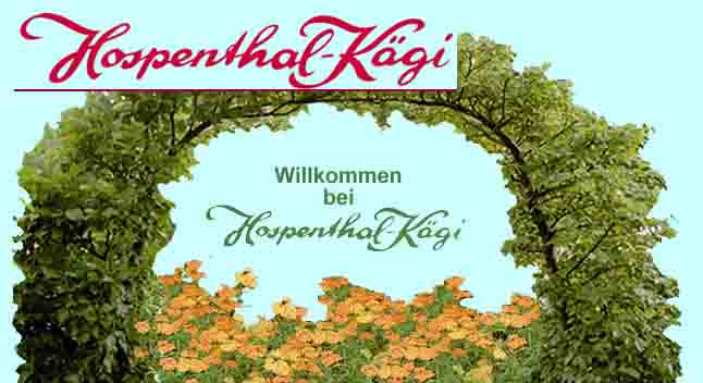 www.hospenthal-kaegi.ch  Hospenthal - Kgi AG,
5417 Untersiggenthal.