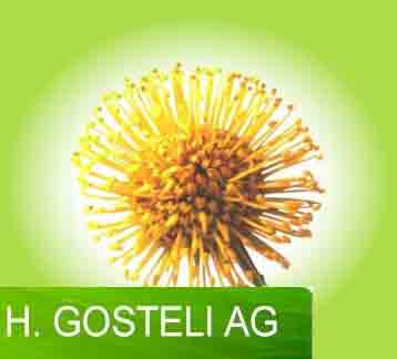 www.hgosteliag.ch  H. Gosteli AG, 3800 Matten b.
Interlaken.