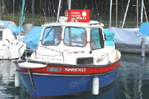 www.bootsschule-spiez.ch  Motorboot-Fahrschule
Spiez, 3705 Faulensee.