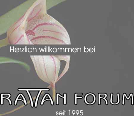 www.rattan-forum.ch  Rattan Forum, 7310 Bad Ragaz.