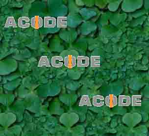 www.acode.ch  ACODE, 8037 Zrich.