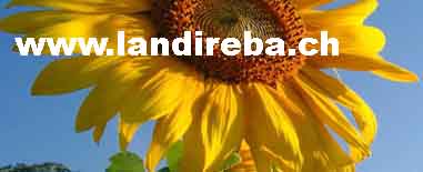 www.landireba.ch  LANDI REBA AG, Basel, 4053
Basel.