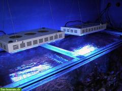 LED spots, ledscheinwerfer,led gartenbeleuchtung, led aquarium lampen,led
