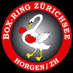 www.boxringzuerichsee.ch:Box-Ring Zrichsee ,8810Horgen. 