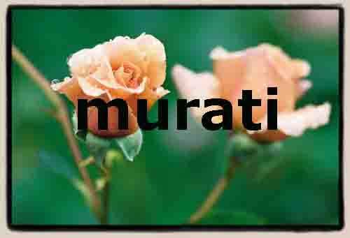 www.murati.info  Murati Liegenschaft- undGartenunterhalt, 8050 Zrich.