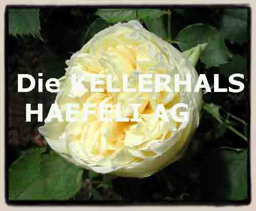 www.k-h.ch  Kellerhals   Haefeli AG, 3011 Bern.