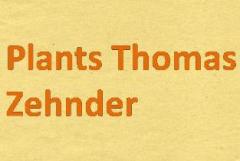 www.zehnderplants.ch  Plants Thomas Zehnder, 8047Zrich.