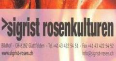 www.sigrist-rosen.ch  SigristRosenkulturen,8192Glattfelden.