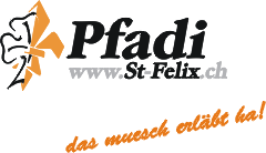 Pfadfinderabteilung St. Felix Regensdorf : PfadiPfadiheim Sommerlager Winterlager 
