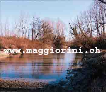 www.maggiorini.ch  Maggiorini AG, 4051 Basel.
