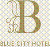 www.bluecityhotel.ch