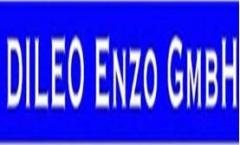 www.dileo-enzo.ch: Dileo Enzo GmbH            6330 Cham