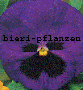www.bieri-pflanzen.ch  Bieri Pflanzen GmbH, 3012
Bern.
