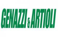 www.genazziartioli.ch: Genazzi &amp; Artioli SA, 6523 Preonzo.