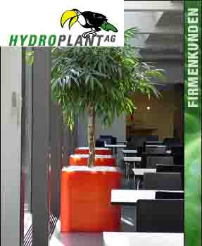 www.hydroplant.ch  Hydroplant AG, 8625 Gossau ZH.