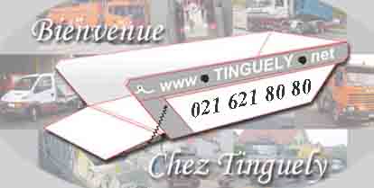 www.tinguely.net                 Tinguely Service
de Voirie SA             1227 Les Acacias        