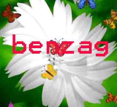 www.benzag.ch  Benz AG, 9230 Flawil.