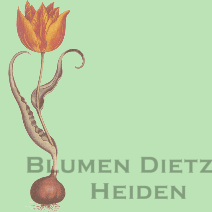 www.blumendietz.ch  Robert Dietz AG, 9410 Heiden.