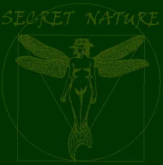 Secret Nature GmbH Thun / Bern: Naturheilmittel
Pflanzenheilung Biologischemedizin Herbalife 