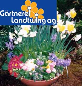 www.gaertnerei-landtwing.ch  Grtnerei Landtwing
AG, 6300 Zug.