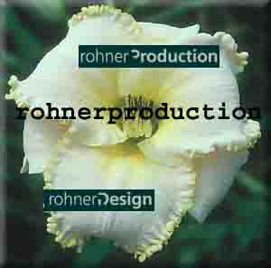 www.rohnerproduction.ch  Rohner Production GmbH,8055 Zrich.